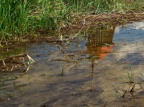 粉象生活粉丝积分能提现吗