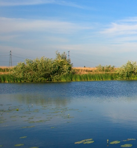 粉象生活可以赚钱吗