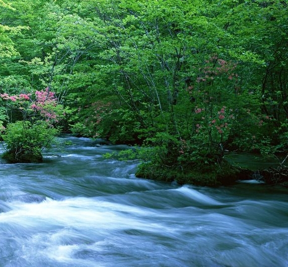 粉象生活优惠券多少钱