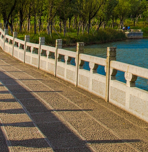 粉象生活课程视频