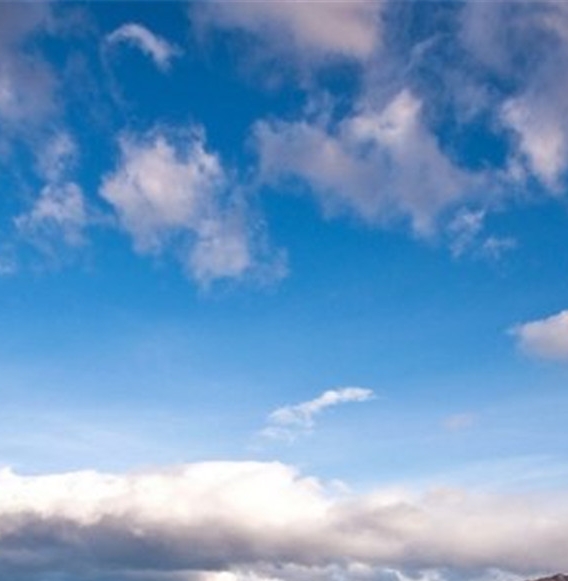 粉象生活收益标准