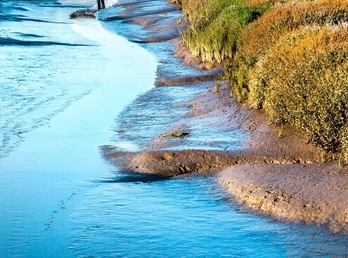 粉象生活能赚到钱吗