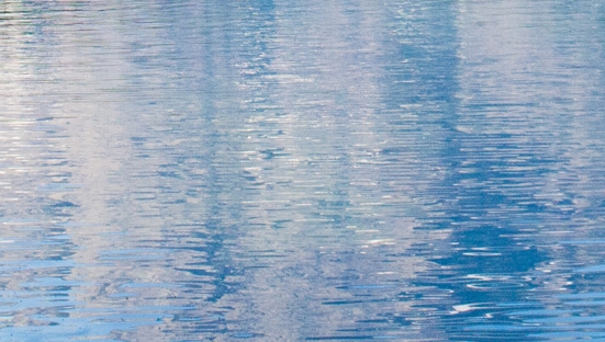 粉象生活送外卖