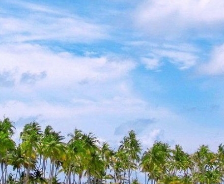 粉象生活东西是不是真的