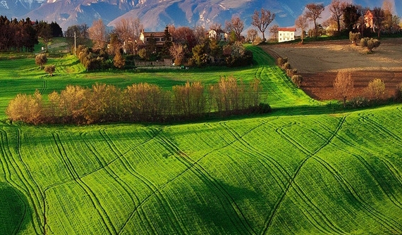 粉象生活开店铺赚钱吗