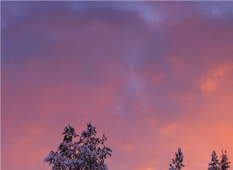 粉象生活邀请码可以改吗