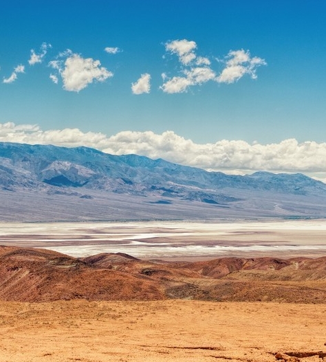 深粉象啤酒什么味道