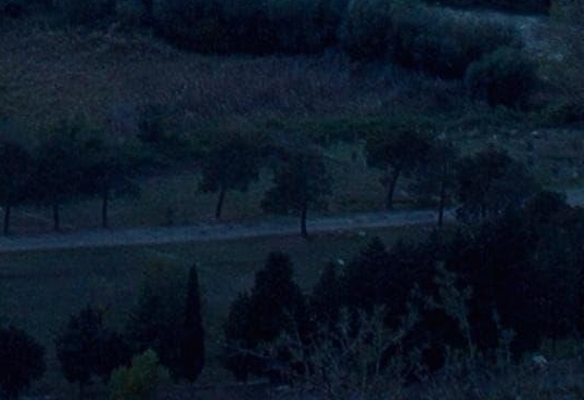 粉象生活邀请码