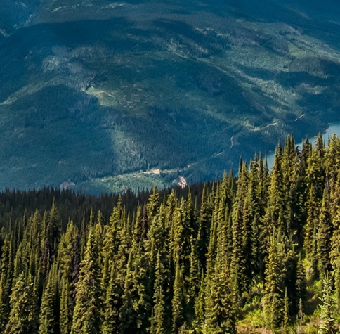 蘑菇街白富美冻结会上征信吗