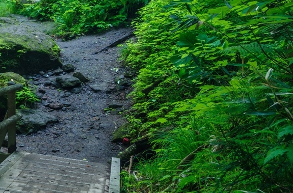粉象生活怎么用淘宝