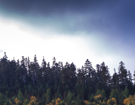 粉象生活购物攻略