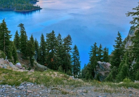 粉象生活推广文案