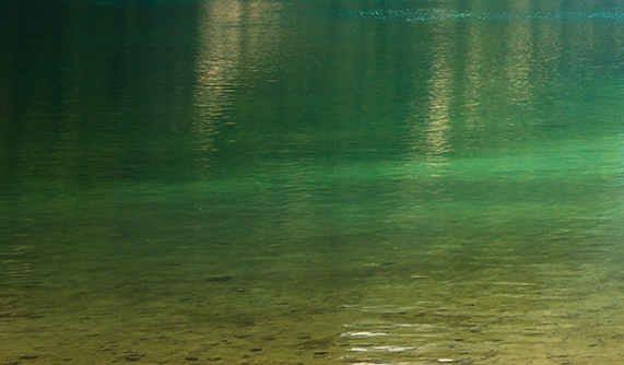 粉象生活下载教程0元购物