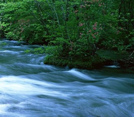 于是生活像极了生活pdf