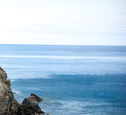 粉象生活购物有什么好处