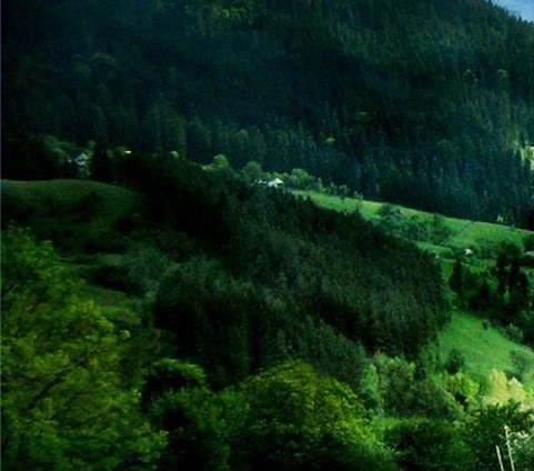 粉象生活怎么赚钱的