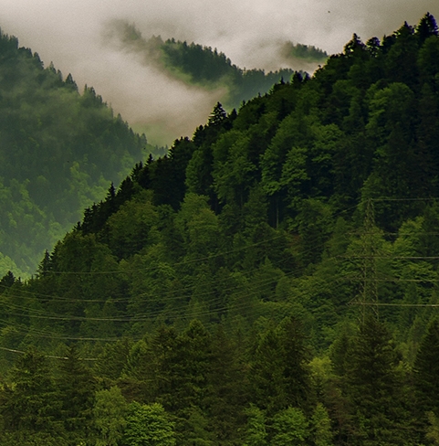 粉象生活邀请码