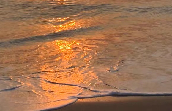 粉象生活团队怎么开店