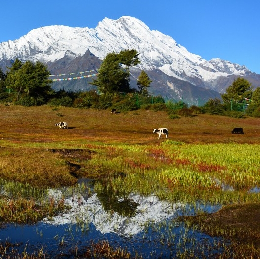 风姑娘卡通图片