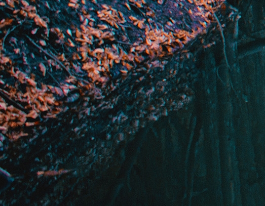 粉象生活什么时候开始推广的