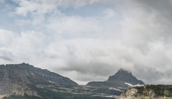 粉象生活的头像是什么样的