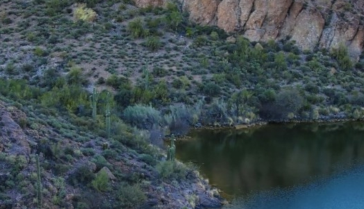 粉象啤酒为什么容易醉