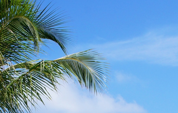 粉象生活怎么赚钱