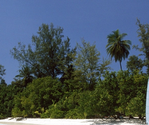 互粉影响流量吗