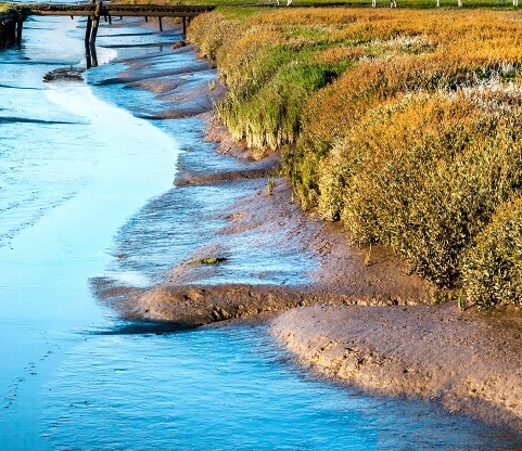 广安粉象生活入驻粉象生活