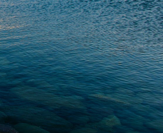 粉象生活未结算收益怎么提现