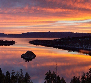 粉象生活下载app