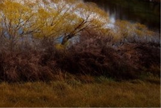 粉象生活注册邀请码怎么填