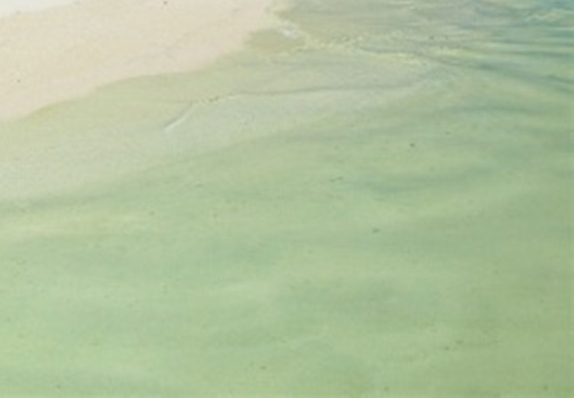 省钱购物粉象生活