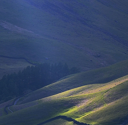粉象生活安全可靠吗
