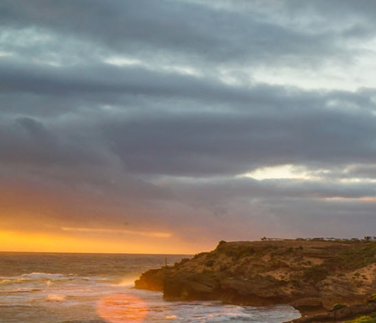 粉象生活到底能不能做