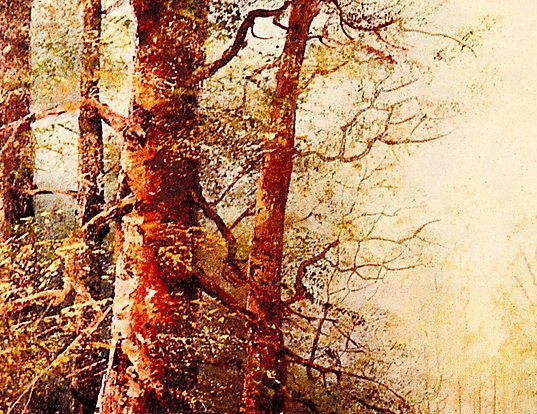 粉象生活如何使用