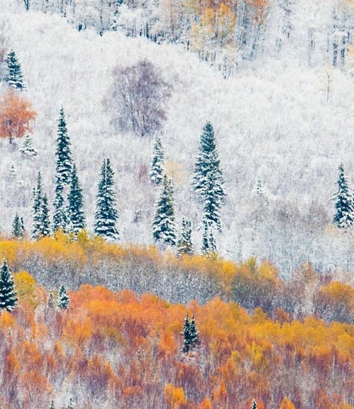 湖北短视频运营涨粉