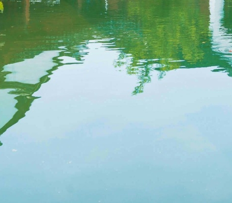 粉象生活真的可以赚钱吗