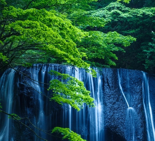 粉象生活能赚到钱吗