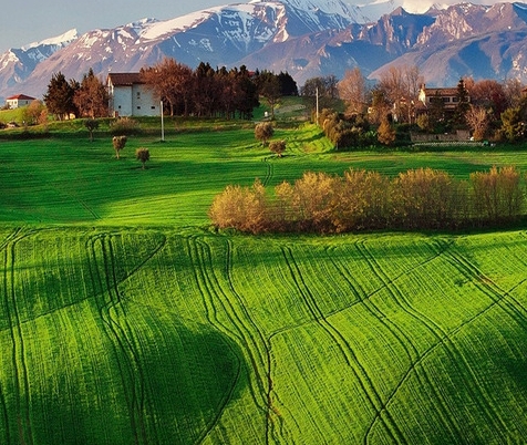 粉象生活免费入驻条件