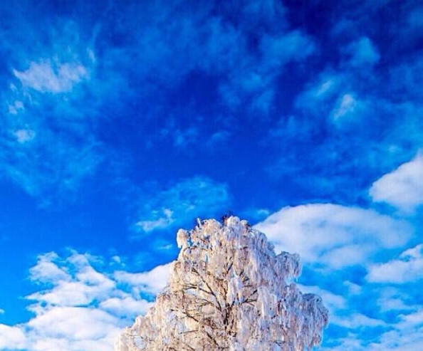 粉象生活要怎么才能提现