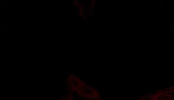 粉象生活能做多久