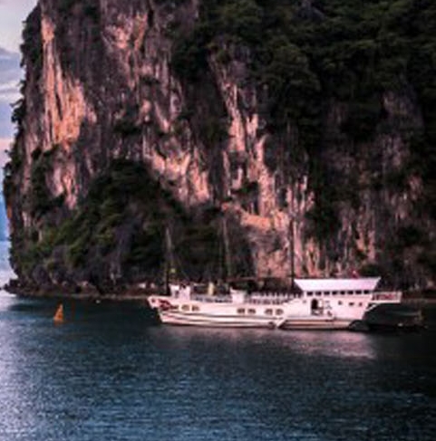 粉象生活加入群聊以后干什么啊