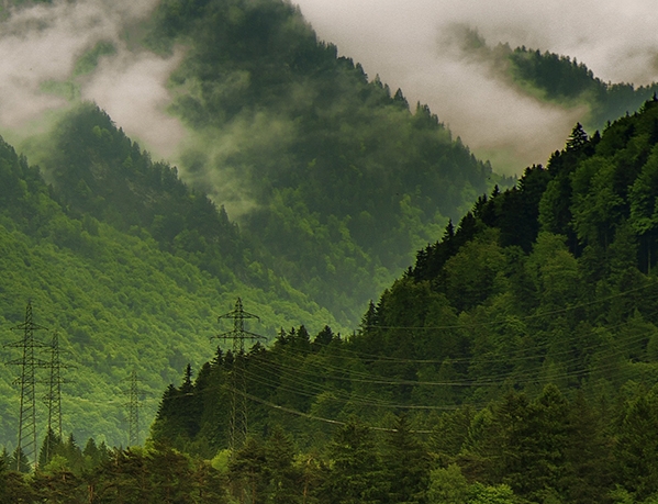 粉象生活在哪个活动页打卡