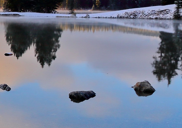 象印有涂层好无涂层好