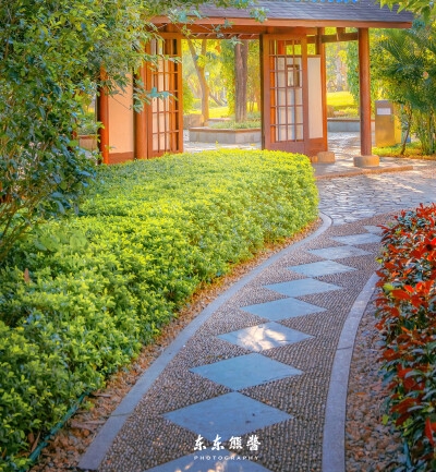 粉象生活app