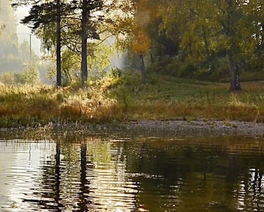 粉象生活工作怎么样