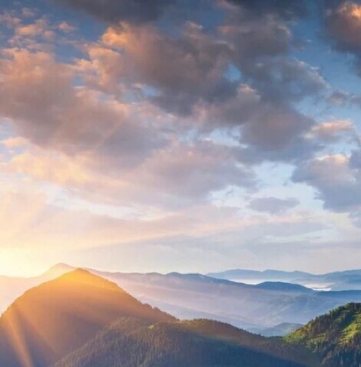 粉象生活能赚到钱吗