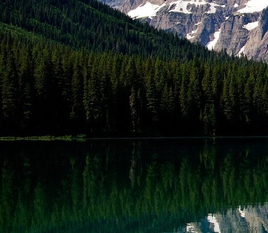 粉象生活怎么在电脑上赚钱