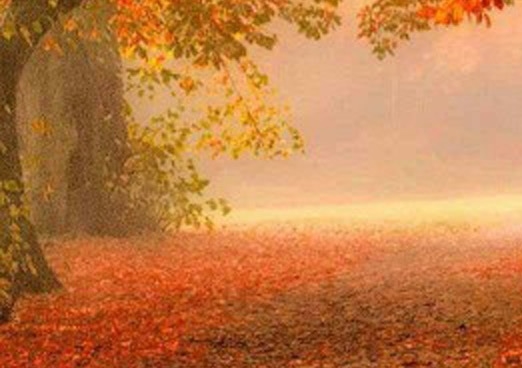 上海高端粉象生活推广